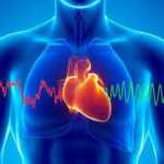 21 апреля – День профилактики болезней сердца