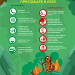 Памятка о правилах пожарной безопасности в лесу и на торфяниках